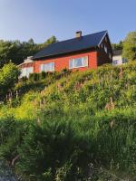 Peaceful Fjord Hideaway close to Geiranger, Trollstigen and Ålesund - Chambres d'hôtes Dyrkorn