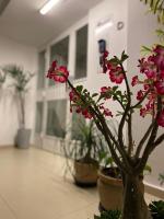 Garden Moinhos de Vento - Bed and Breakfast Porto Alegre