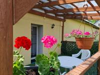 Agroturystyka Przy Rajskim Sadzie - Ferienwohnung Nowoberezowo