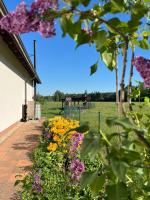 Ubytování u Kotrbů - Chambres d'hôtes Suchdol nad Lužnicí