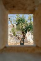 Slow Trullo - Puglia Slow Stay - Chambres d'hôtes Ostuni