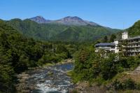 Room only -Classic Nikko ryokan with natural hot springs - B&B Nikkō