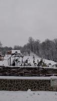 Nook Hill - Bed and Breakfast Comarnic