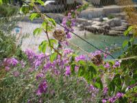 Apartments Luka - B&B Sevid