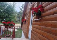 Estudio Estándar