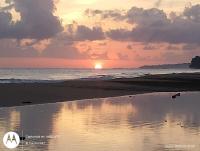Tropical Cabin Near Playa Cocles, AC & Beach Bikes - Bed and Breakfast Cocles