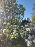 Huoneisto entisessä Honkolan kyläkoulussa - B&B Keikyä