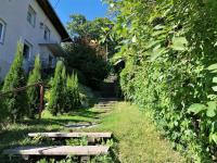 Studio with terrace on the hillside of Viljandi - B&B Viljandi