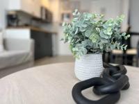 Appartamento con 1 Camera da Letto