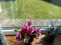 Anna apartment - B&B Edimburgo