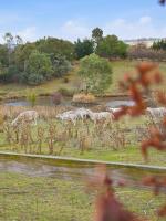 Wren Hill - Dreamy Home with Spectacular Views - B&B Orange