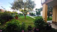 Apartment Dado - Bed and Breakfast Poreč