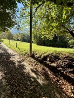 Il Casello Bigallo - B&B Esino Lario
