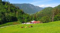 Apartment Angel's Nest with Sauna and Fitness - Chambres d'hôtes Jesenice