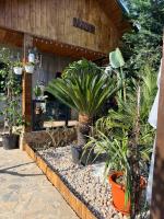 Cabana Maya - Chambres d'hôtes Corbu