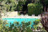 house solemonte - B&B Montescudaio