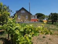 Casa do Pinheiro Country house near Óbidos with garden - B&B Carvalhal