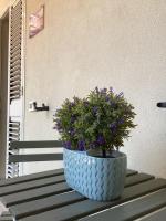 Casa Vacanza AURORA Taormina Trappitello - Chambres d'hôtes Taormina