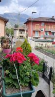 Magnolia Residence - Casa Stella - Presolana - B&B Rovetta