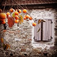 Ai Chiosi affittacamere - B&B Pontremoli