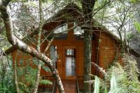 Sapa Jungle Homestay - Chambres d'hôtes Sa Pa