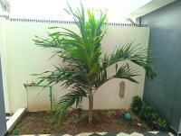 Lumière Appartement 3ch salon meublés - B&B Cotonou