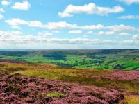 1 Bed in Kirkbymoorside oc-82843 - Chambres d'hôtes Kirkbymoorside