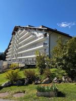 Cozy Alpine Nest - B&B Torgon
