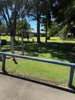 Googarra Beach Caravan Park - B&B Lower Tully