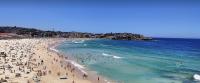 Cozy Bondi ROOM - Beach life and Local Host! Free Parking - B&B Sydney