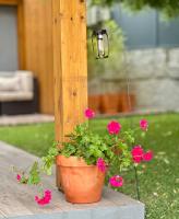 Casa da nascente douro - Bed and Breakfast Paços de Gaiolo
