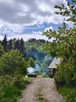 Căsuța de la munte - B&B Bistriţa