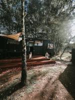 DOM LAS BUS twój leśny azyl z prywatnym jacuzzi - Ferienwohnung Skęczniew