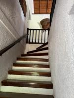Stavrianna Eco paradise Villa - B&B Diakoptó