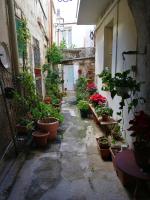 Apartment - Split Level