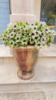 Chambre Double - Vue sur Jardin