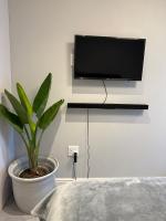 Modern studio apartment based in Rondebosch East - B&B Cape Town