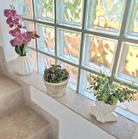 Apartmani Jasna - B&B Palit