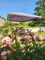 Gîte des Pleiades - B&B Villemoirieu