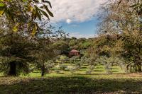 Villa Flavia - Chambres d'hôtes Manziana
