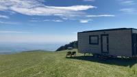 Riconnettiti con la Natura sul Monte Joanaz - Chambres d'hôtes Calla