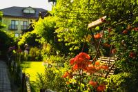 Villa Haris - B&B Costineşti