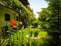 Villa Haris - B&B Costineşti