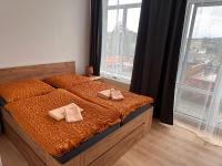 Pension und Berggasthaus Am Knochen - Chambres d'hôtes Geyer