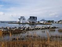 Gallops Point - B&B Greenbackville