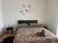 Inchiriez apartament central cu 1 camere et 4 - B&B Satu Mare