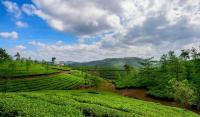 Villa Verona - B&B Vagamon
