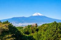 Fuji Nest Izu - B&B Izunokuni