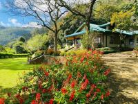 Bawlana Estate Kandy by Maniumpathy close to Pekoe Trail Stage 1 & 2 - B&B Kandy