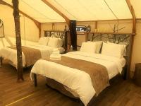 Luxurious Safari Tent for an Unforgettable Glamping Escape near Forks, Washington - Chambres d'hôtes Forks